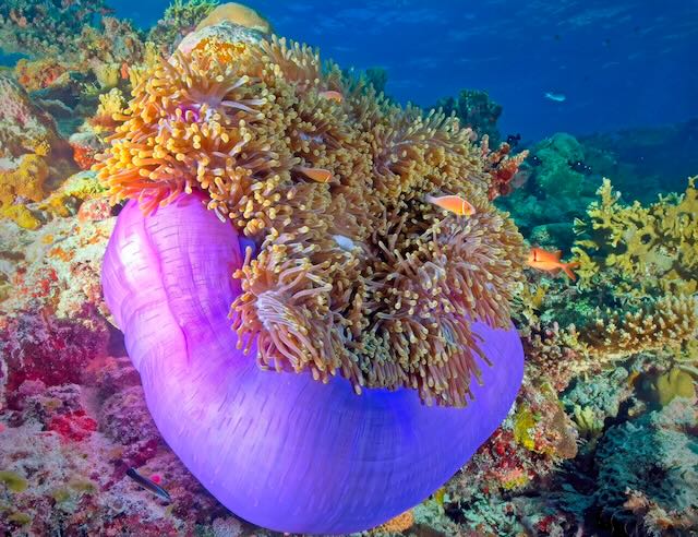 Palau September 2024